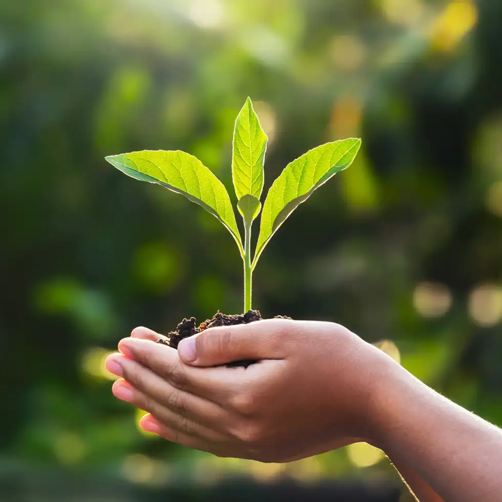 Pakiet ECO